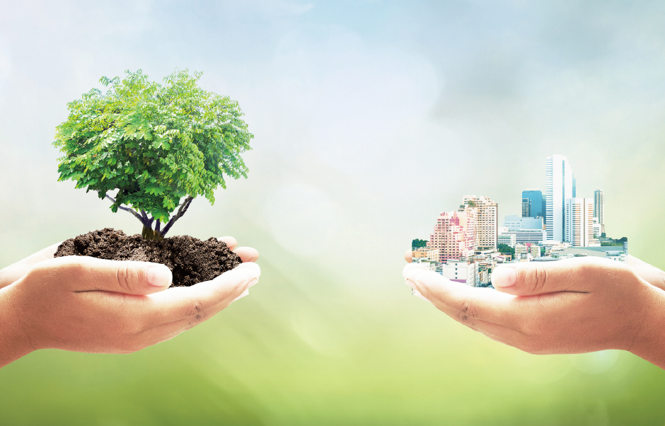 NREG's Stance on Sustainability